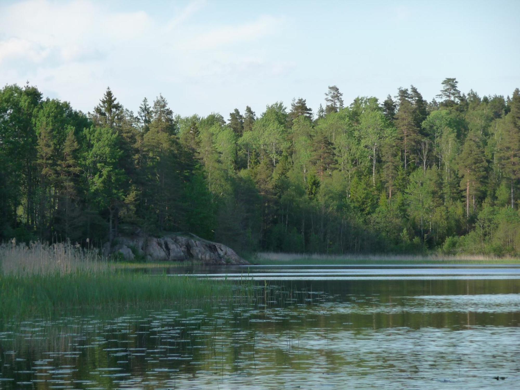 Kynnefjaellsnatur Hedekas ภายนอก รูปภาพ